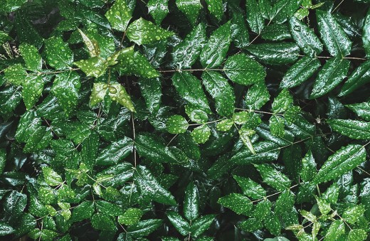 WHASSUP GRAND OPEN 썸네일 이미지