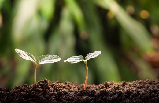 Wassup Events 썸네일 이미지