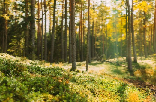 Welcome to Media 썸네일 이미지